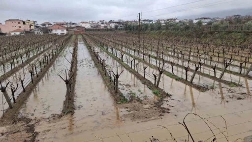 Yağmurlar bağcıların y&uuml;z&uuml;n&uuml; g&uuml;ld&uuml;rd&uuml;
