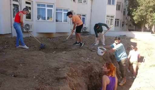 Yaklaşık 16 metrelik balinanın iskeleti gün yüzüne çıkarılmaya başladı
