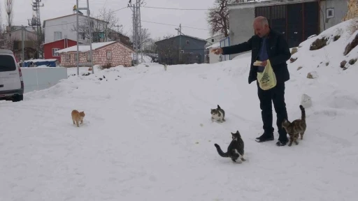 Yaklaşık 2 bin n&uuml;fuslu k&ouml;yde kışın sadece bir aile yaşıyor
