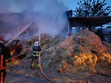 Yalova Altınova’da samanlık yangını
