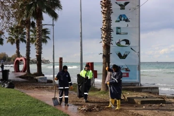 Yalova Belediyesinden fırtına temizliği
