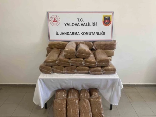 Yalova&rsquo;da 160 kilo ka&ccedil;ak t&uuml;t&uuml;n ele ge&ccedil;irildi
