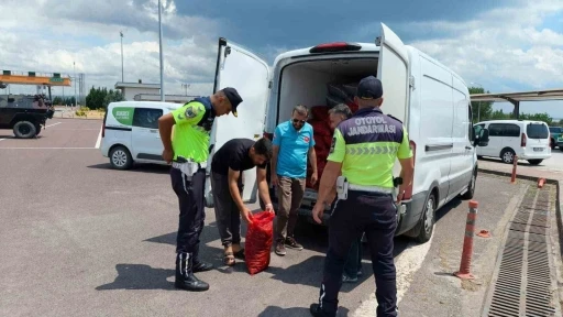 Yalova&rsquo;da 3 ton ka&ccedil;ak midye ele ge&ccedil;irildi
