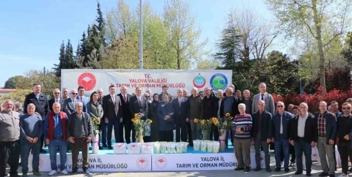 Yalova&rsquo;da &ccedil;ift&ccedil;iye ay&ccedil;i&ccedil;eği ve fasulye tohumu desteği
