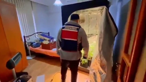 Yalova&rsquo;da evinde uyuşturucu yetiştiren ş&uuml;pheli yakalandı
