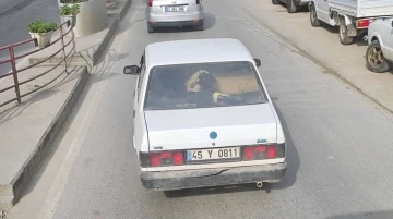 Yalova’da otomobilin arka koltuğunda koyunu görenler şaştı kaldı
