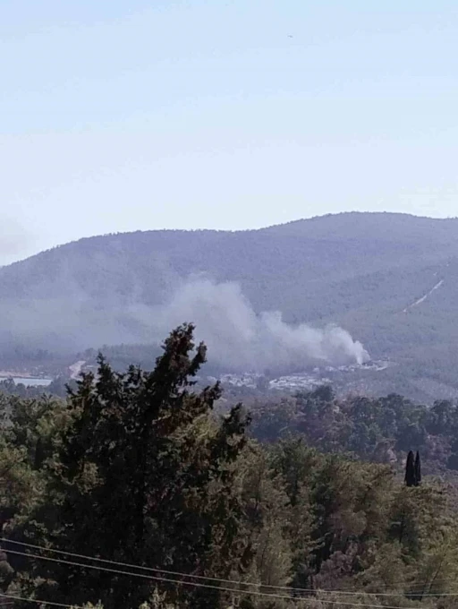 Yangın ormana sıçramadan söndürüldü
