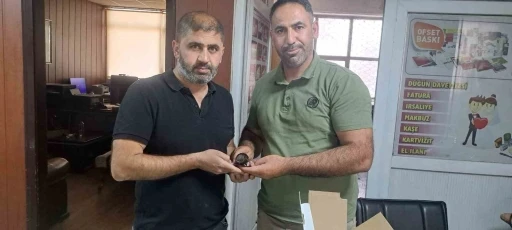 Yaralı halde bulunan ebabil kuşu doğa koruma ekiplerine teslim edildi
