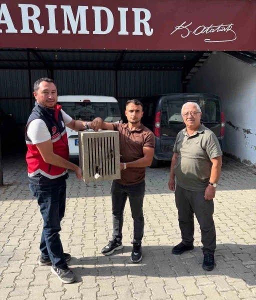 Yaralı halde bulunan leylek, koruma altına alındı
