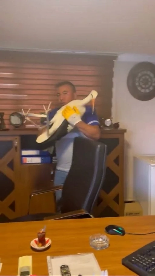 Yaralı leyleğe şefkat eli
