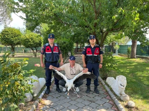 Yaralı leylek i&ccedil;in seferber oldular
