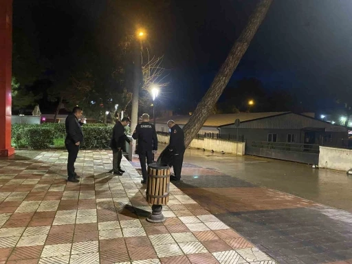 Yarım asırlık &ccedil;am ağacı fırtınaya dayanamadı
