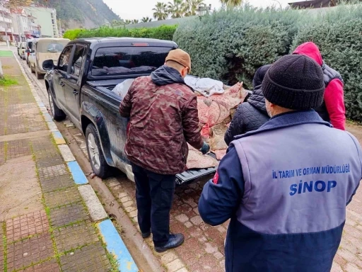 Yasa dışı avlanan kalkanlar, ihtiya&ccedil; sahiplerine &uuml;cretsiz dağıtıldı
