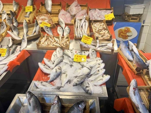 Yasak kapıda: Balıkçılar sezonun son siftahlarını yapıyor
