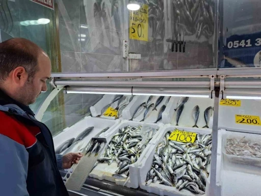 Yasak &ouml;ncesi balık satış yerleri denetlendi
