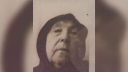 Yaşlı kadın ormanlık alanda kayboldu