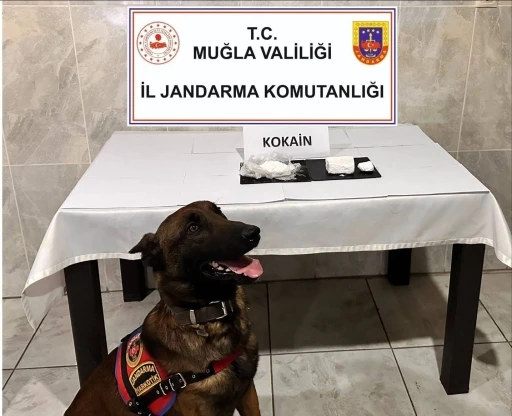 Yatağan'da Yolcu Otobüsünde Narkotik Operasyonu
