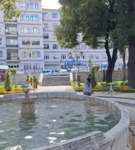 Yavru kargayı kurtarmak istedi, diğer karganın saldırısıyla hastanelik oldu
