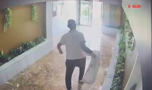 Yavru kedileri kaybolan kadın g&uuml;venlik kameralarını izleyince g&ouml;zlerine inanamadı
