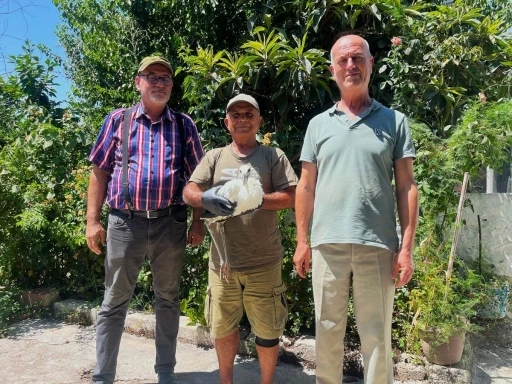 Yavru leyleği kurtarıp, deniz kaplumbağası yumurtalarını koruma altına aldılar
