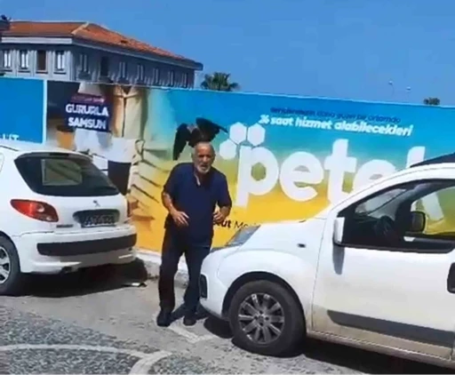 Yavruyu kurtarmak istedi, kargaların hedefi oldu
