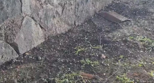 Yavuzeli&rsquo;nde nohut b&uuml;y&uuml;kl&uuml;ğ&uuml;nde dolu yağdı
