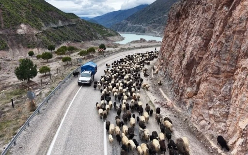 Yayla yolunda zorlu g&ouml;&ccedil;ler başladı
