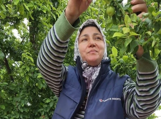 Yaz meyvelerinde bereket &uuml;reticinin y&uuml;z&uuml;n&uuml; g&uuml;ld&uuml;rd&uuml;
