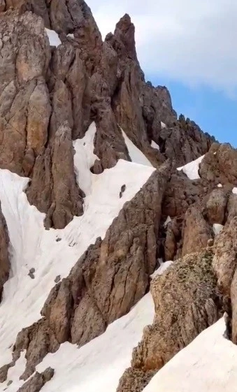 Yaz ortasında karlı zirvede ayı s&uuml;rprizi
