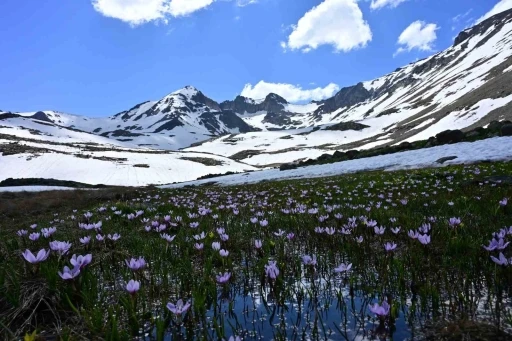 Yaz ortasında kışın h&uuml;k&uuml;m s&uuml;rd&uuml;ğ&uuml; eşsiz coğrafya: Artabel
