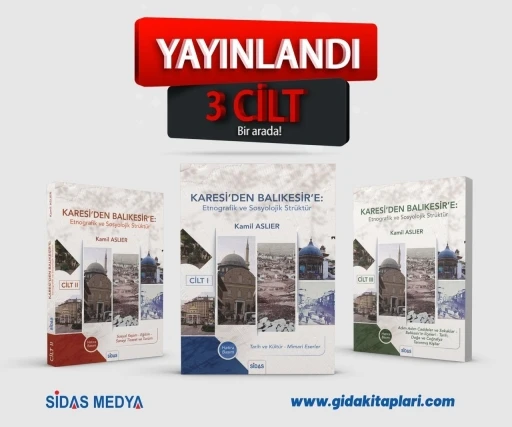 Yazar Kamil Aslıer ’den &quot;Karesi’den-Balıkesir’e:
