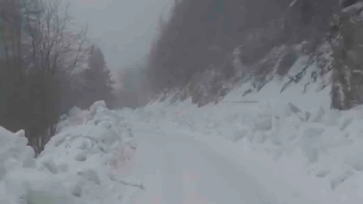Yedig&ouml;ller Milli Parkı yolunda kar yağışı etkili oluyor
