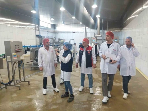 Yem üretim tesislerine detaylı denetim
