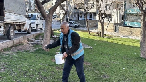 Yemyeşil Eyy&uuml;biye i&ccedil;in hazırlıklar s&uuml;r&uuml;yor
