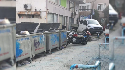 Yeni konteynerlere vandallık: kameralar incelemede