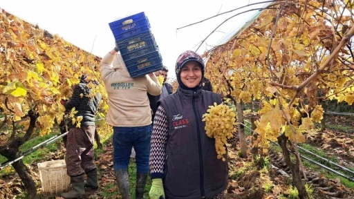 Yeni yıl &uuml;z&uuml;mleri yola &ccedil;ıkmaya başladı
