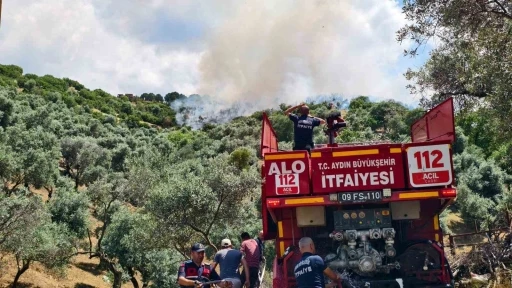 Yenipazar&rsquo;daki otluk alan yangını kontrol altına alındı
