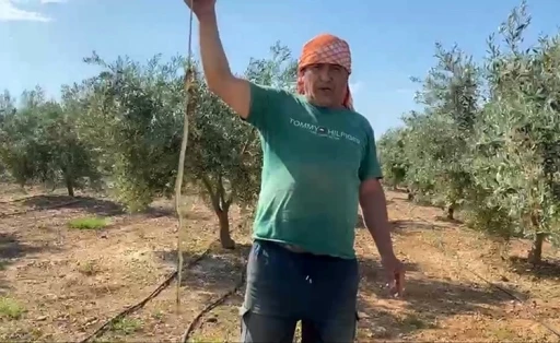 &rsquo;Yılanı &ouml;ld&uuml;rd&uuml;m&rsquo; deyip &ccedil;ektirdiği video pahalıya mal oldu: 22 bin TL ceza yedi
