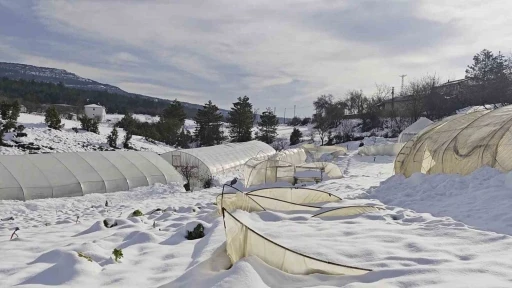 Yoğun kar &ccedil;ok sayıda serayı yıktı
