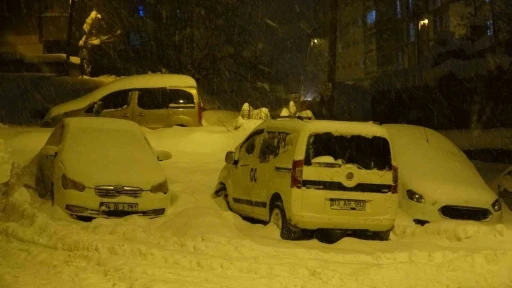 Yoğun kar ve tipi Bitlis&rsquo;te hayatı olumsuz etkiledi
