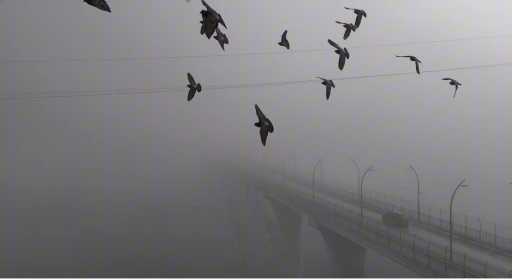 Yoğun sisten kaybolan yapılar dronla g&ouml;r&uuml;nt&uuml;lendi
