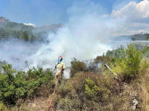 Yol kenarında &ccedil;ıkan yangını ormana sı&ccedil;radı
