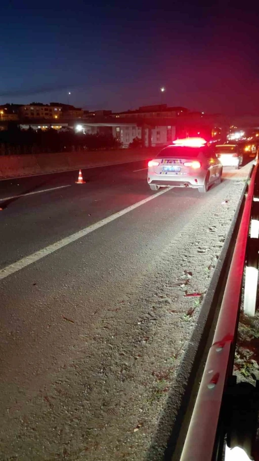 Yola &ccedil;ıkan atlar zincirleme kazaya neden oldu
