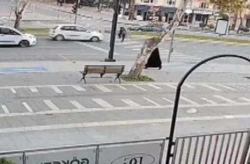 Yolun karşısına geçmeye çalışan yayaya otomobil çarptı
