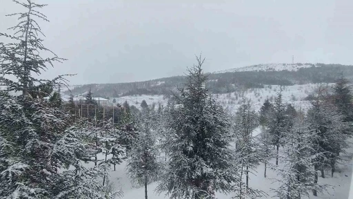 Yozgat beyaza b&uuml;r&uuml;nd&uuml;
