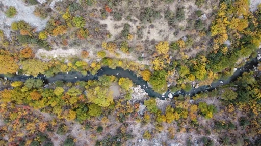 Yozgat’ın gizli cenneti Kazankaya Kanyonu’nda sonbaharın güzelliği yaşanıyor