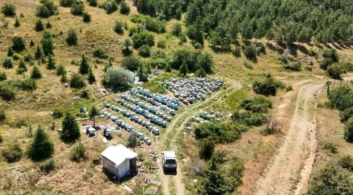 Yozgat&rsquo;ın zengin bitki &ouml;rt&uuml;s&uuml; arıcılara umut oldu
