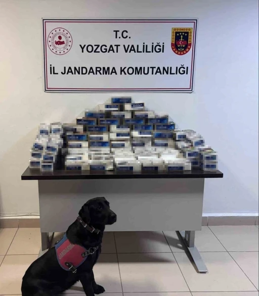 Yozgat’ta 20 bin adet makaron ele geçirildi
