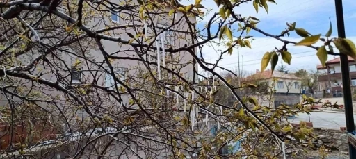 Yozgat&rsquo;ta &ccedil;ift&ccedil;iler zirai don tehlikesine karşı uyarıldı
