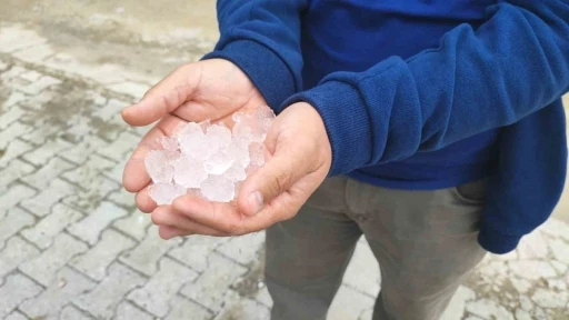 Yozgat&rsquo;ta dolu tarım alanlarını vurdu, k&ouml;yl&uuml;ler afet b&ouml;lgesi ilanı istedi
